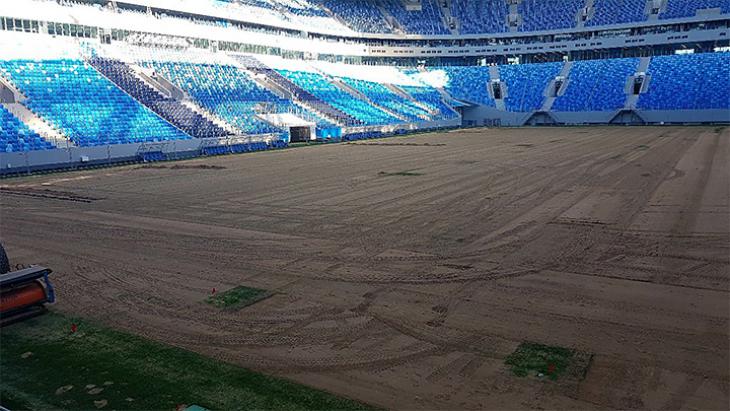 Замена газона на стадионе «Крестовский» будет стоить 9 млн. рублей