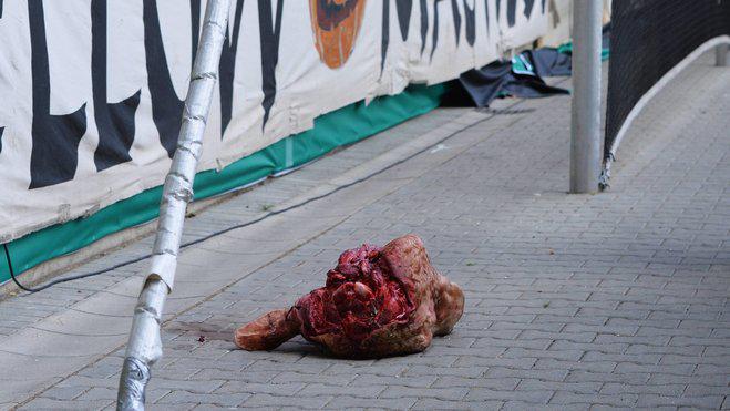 Фанаты «Динамо» Дрезден пронесли на стадион голову быка